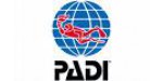 Padi